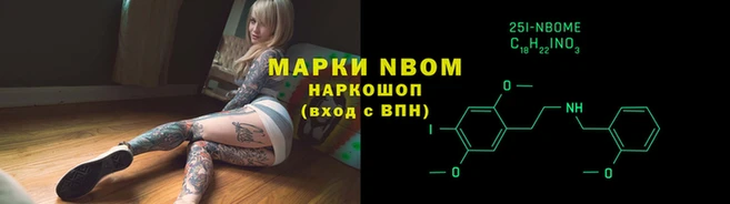дмт Алзамай