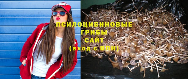дмт Алзамай