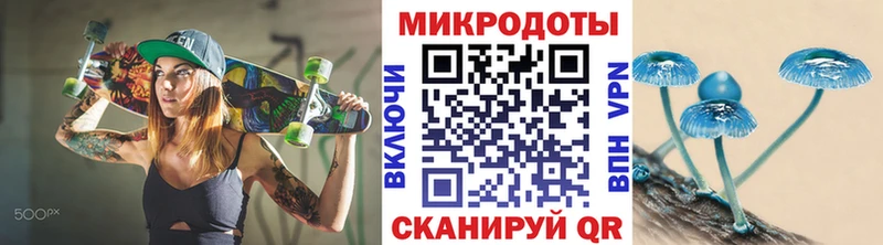 где продают   Алупка  Псилоцибиновые грибы Psilocybine cubensis 